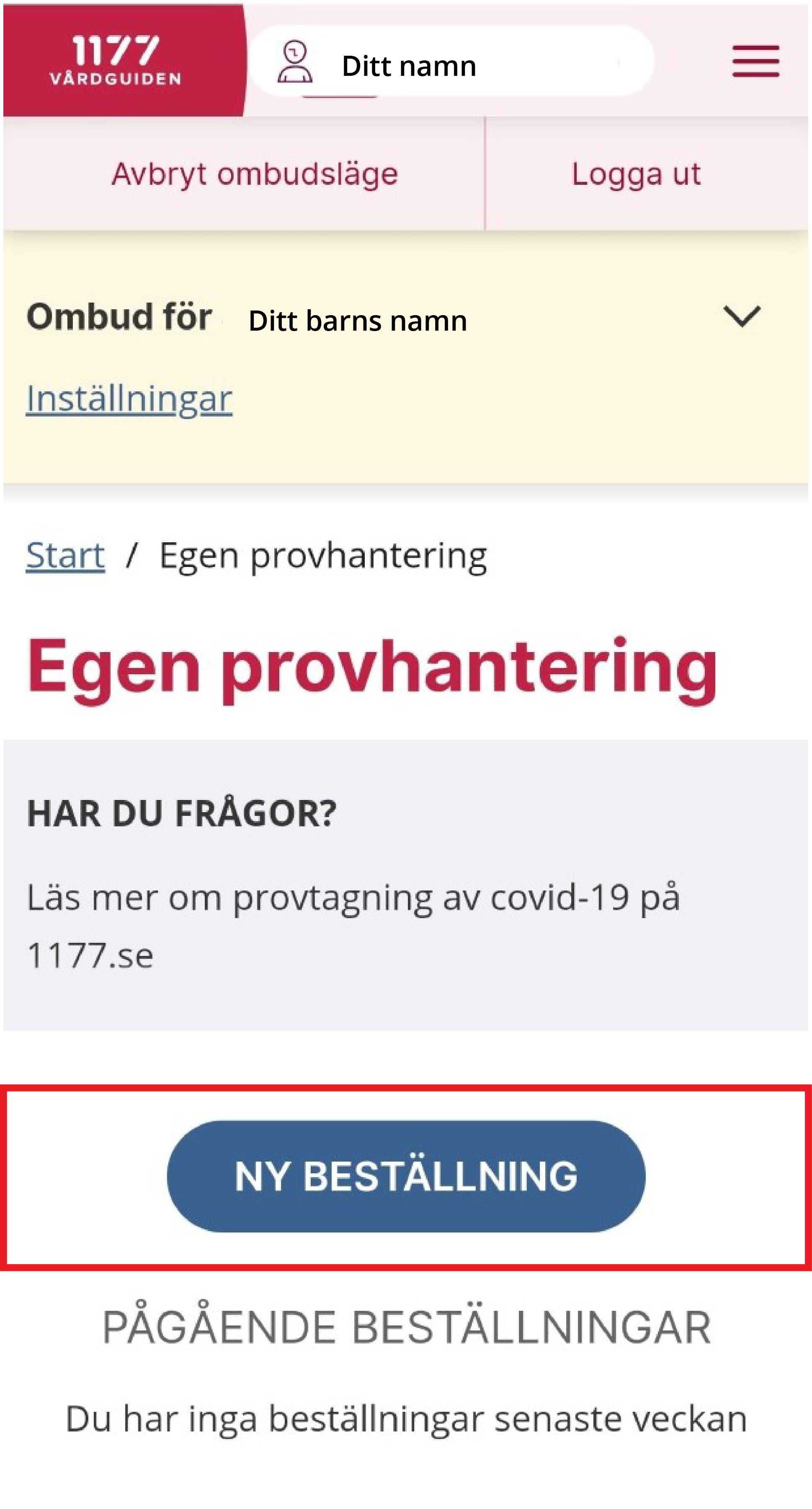 Bilden visar 1177 Vårdguidens e-tjänster. Knappen ny beställning är markerad med en röd ram. Foto.